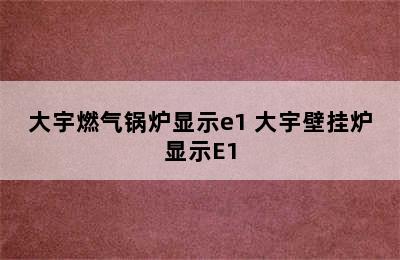 大宇燃气锅炉显示e1 大宇壁挂炉显示E1